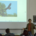 Closing workshop Palermo 18/12/2013