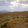 Sakers wintering grounds in Sicily: Catania plain & hills
