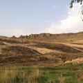 Sakers wintering grounds in Sicily: Catania plain & hills