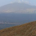 Sakers in Sicily