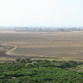 Sakers in Sicily