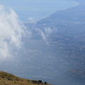 Sakers in Sicily