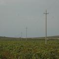 Threats: Power lines