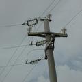 Threats: Power lines