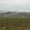 Threats: Power lines