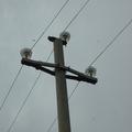 Threats: Power lines