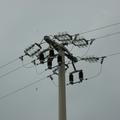 Threats: Power lines