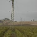 Threats: Power lines