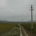 Threats: Power lines