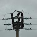 Threats: Power lines