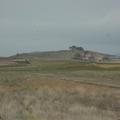 Sakers wintering grounds in Sicily: Trapani region