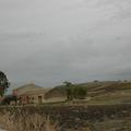 Sakers wintering grounds in Sicily: Trapani region