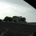 Sakers wintering grounds in Sicily: Trapani region