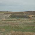 Sakers wintering grounds in Sicily: Trapani region