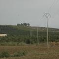 Threats: Power lines