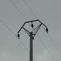 Threats: Power lines