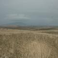 Sakers wintering grounds in Sicily: Trapani region