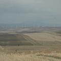 Threats: Wind Farm