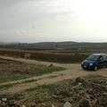 Sakers wintering grounds in Sicily: Trapani region