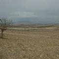Sakers wintering grounds in Sicily: Trapani region