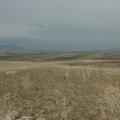 Sakers wintering grounds in Sicily: Trapani region