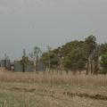 Sakers wintering grounds in Sicily: Trapani region