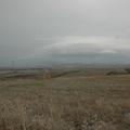 Sakers wintering grounds in Sicily: Trapani region