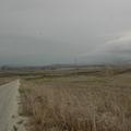 Sakers wintering grounds in Sicily: Trapani region