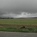 Sakers wintering grounds in Sicily: Trapani region