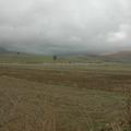 Sakers wintering grounds in Sicily: Trapani region