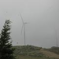 Threats: Wind Farm