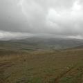 Sakers wintering grounds in Sicily: Trapani region