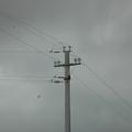 Threats: Power lines