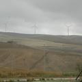 Threats: Wind Farm