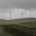 Threats: Wind Farm