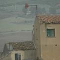 Sakers wintering grounds in Sicily: Trapani region