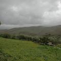 Threats: Wind Farm