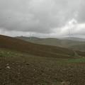 Threats: Wind Farm
