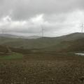 Threats: Wind Farm