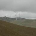 Threats: Wind Farm