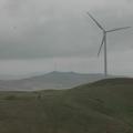 Threats: Wind Farm