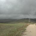 Threats: Wind Farm