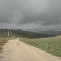Threats: Wind Farm