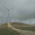 Threats: Wind Farm