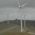 Threats: Wind Farm