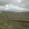 Sakers wintering grounds in Sicily: Trapani region