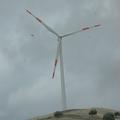 Threats: Wind Farm