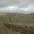 Sakers wintering grounds in Sicily: Trapani region