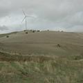 Threats: Wind Farm