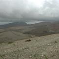 Sakers wintering grounds in Sicily: Trapani region